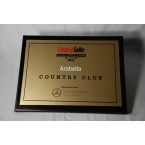  plaques_and_awards_002