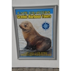  snapper_signs_012