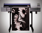 Black & White Print